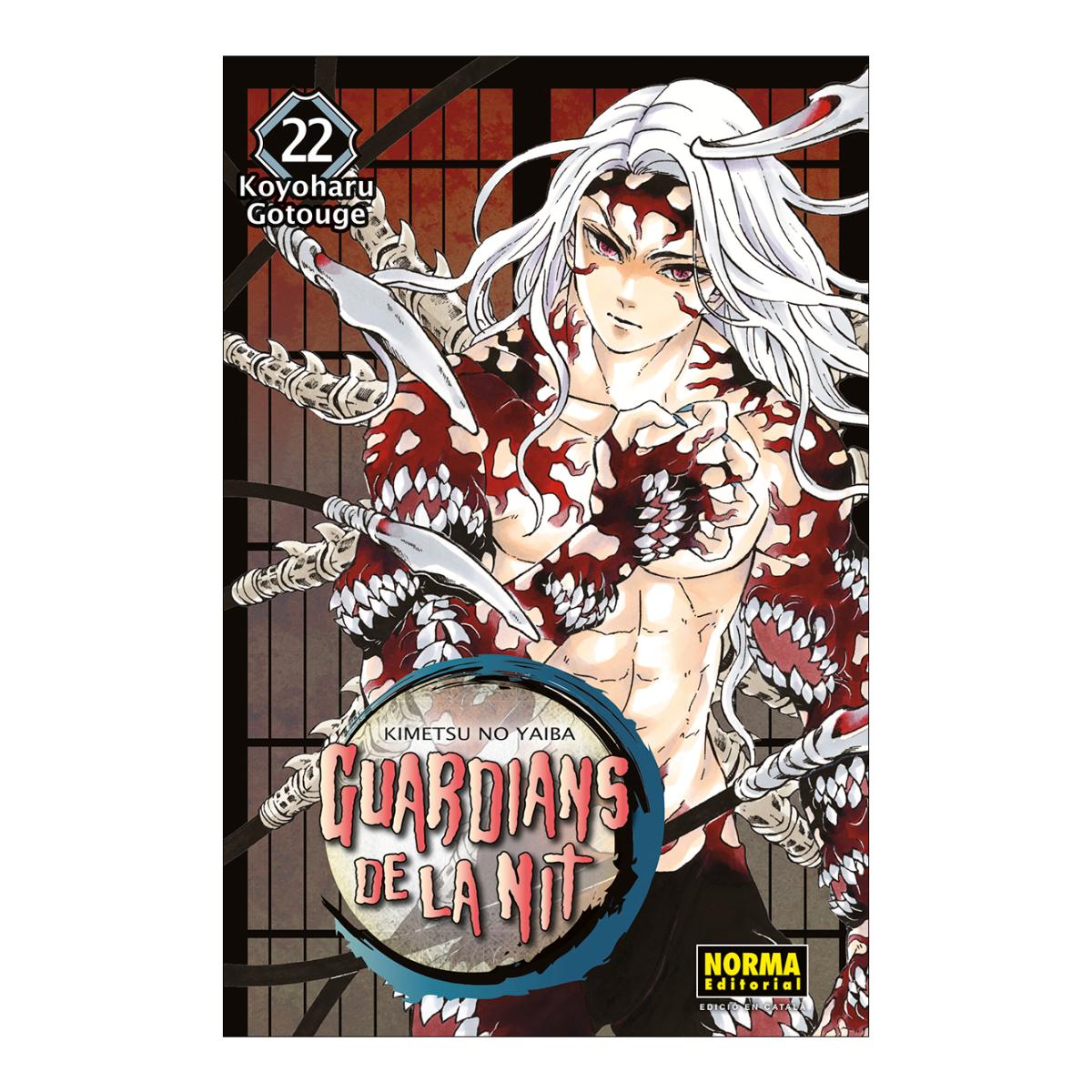 GUARDIANS DE LA NIT 22 1