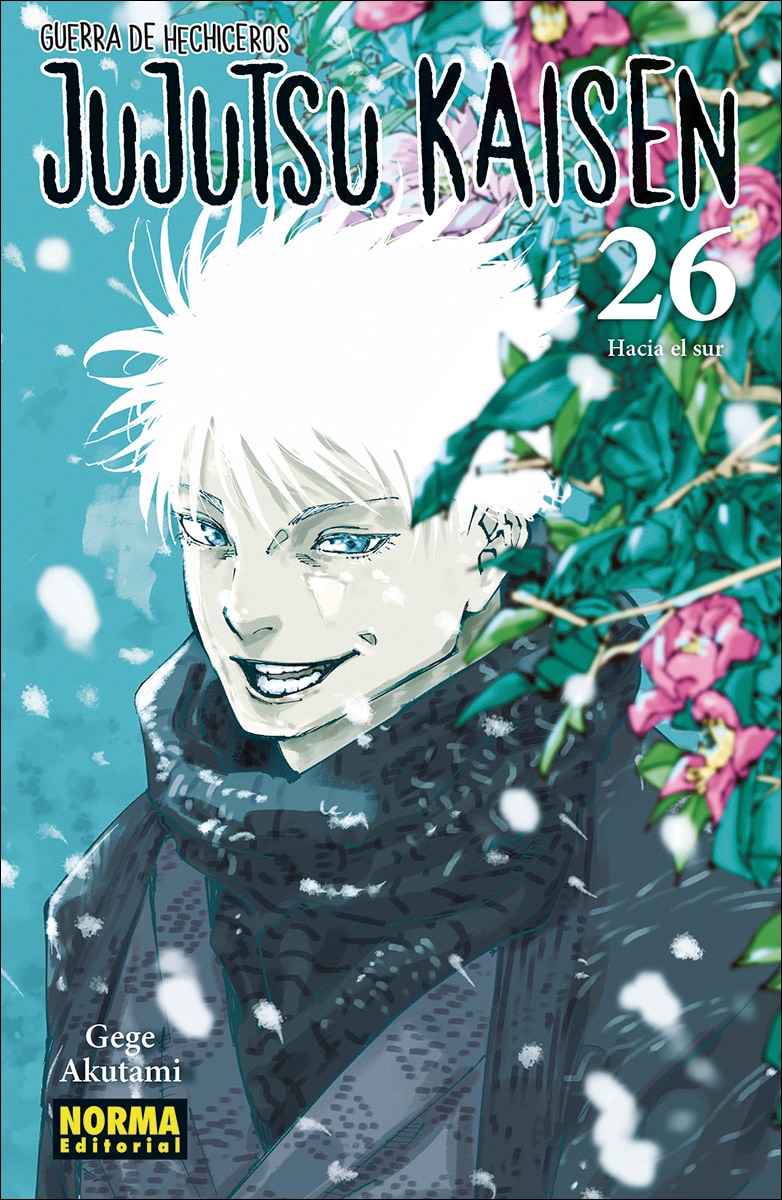 Imagen 0 de JUJUTSU KAISEN 26