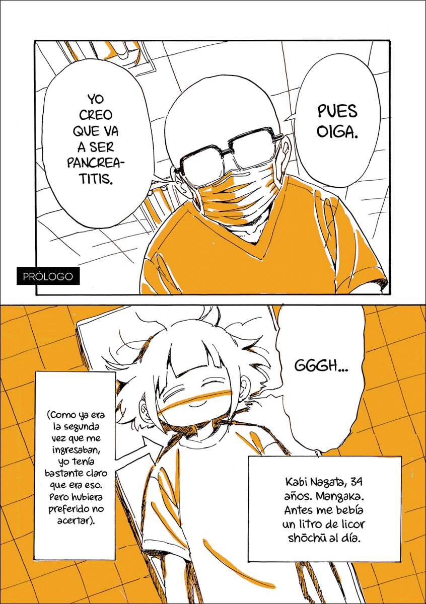 Cuando me destrocé el páncreas, empecé a vivir 2