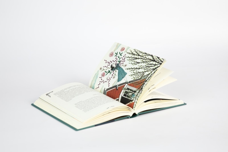 Diario de Anne Frank (Ilustrado) (Tapa Dura) 9