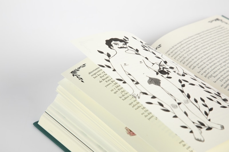 Diario de Anne Frank (Ilustrado) (Tapa Dura) 11