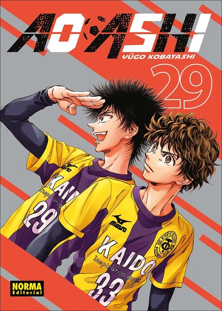 Imagem 0 de AO ASHI 29