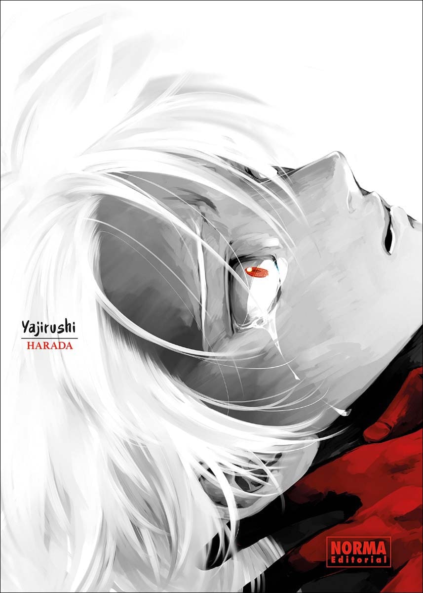 YAJIRUSHI 1