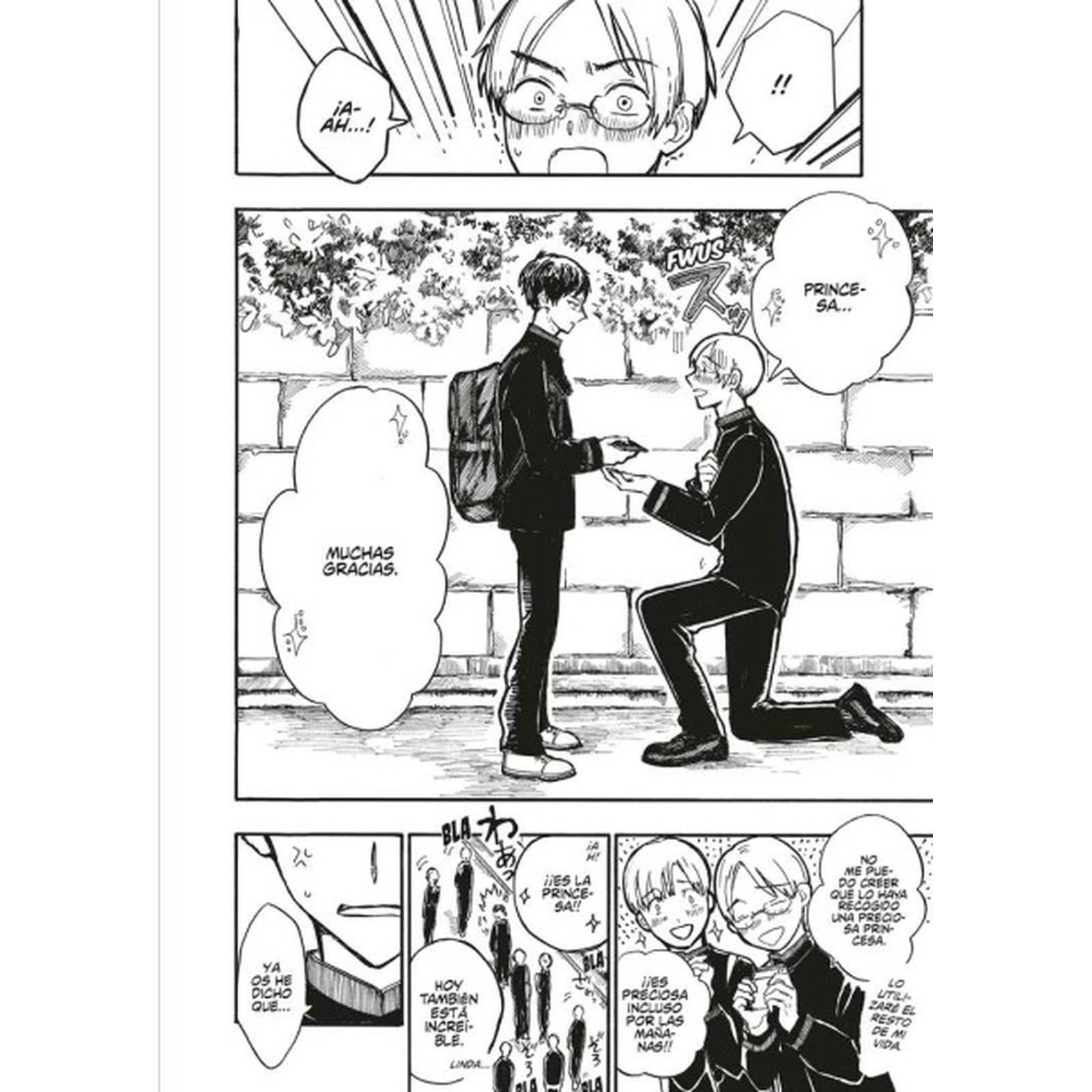 Himeno no quiere ser una princesa (Capa mole) 3