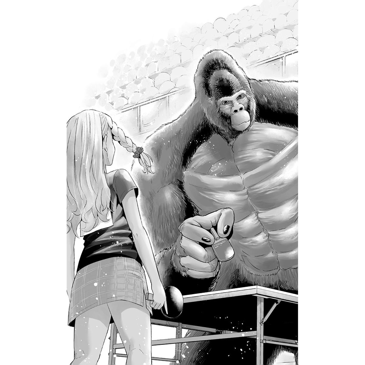 PING-KONG 1 4