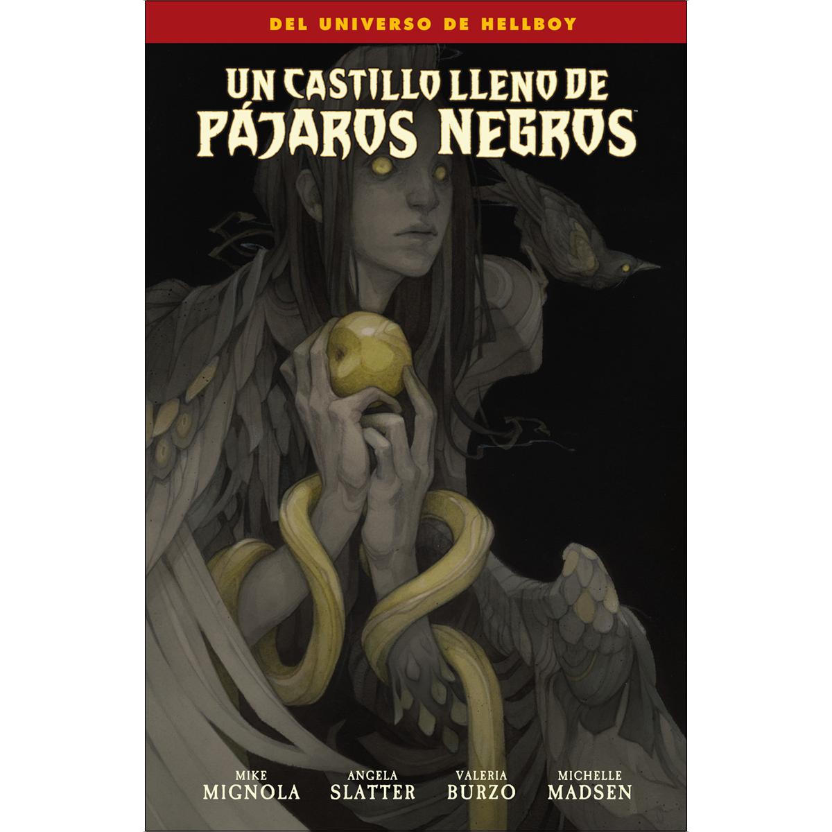 Imagem 0 de UN CASTILLO LLENO DE PAJAROS NEGROS