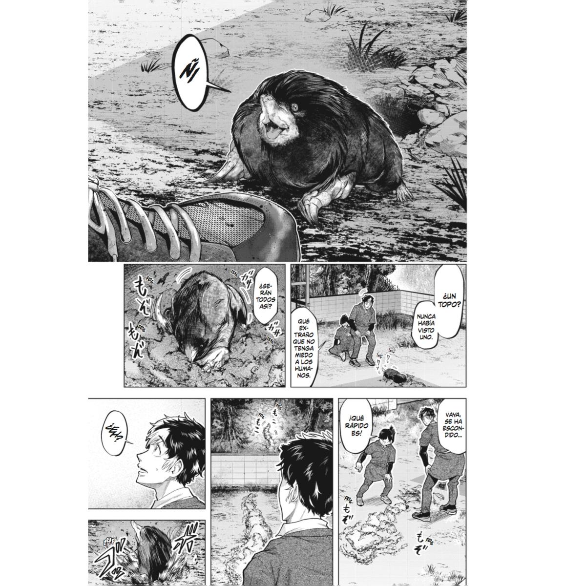 Moguland 1 6
