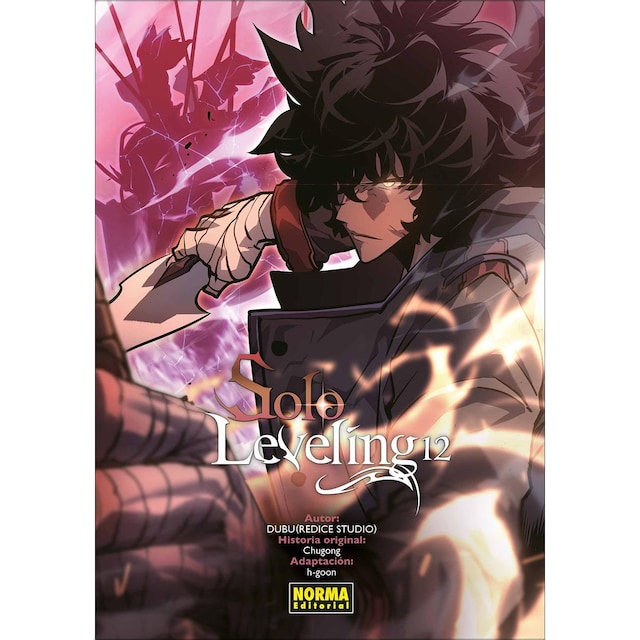 Imagen 0 de SOLO LEVELING 12