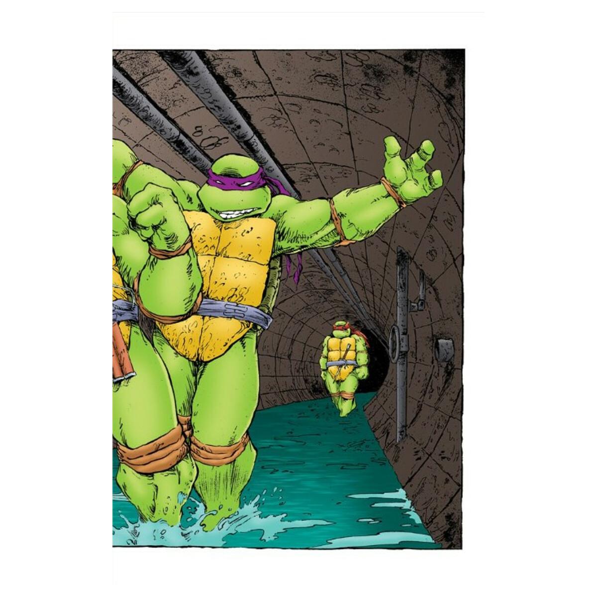 Tmnt: la pelicula original.Especial 35aniversari 2