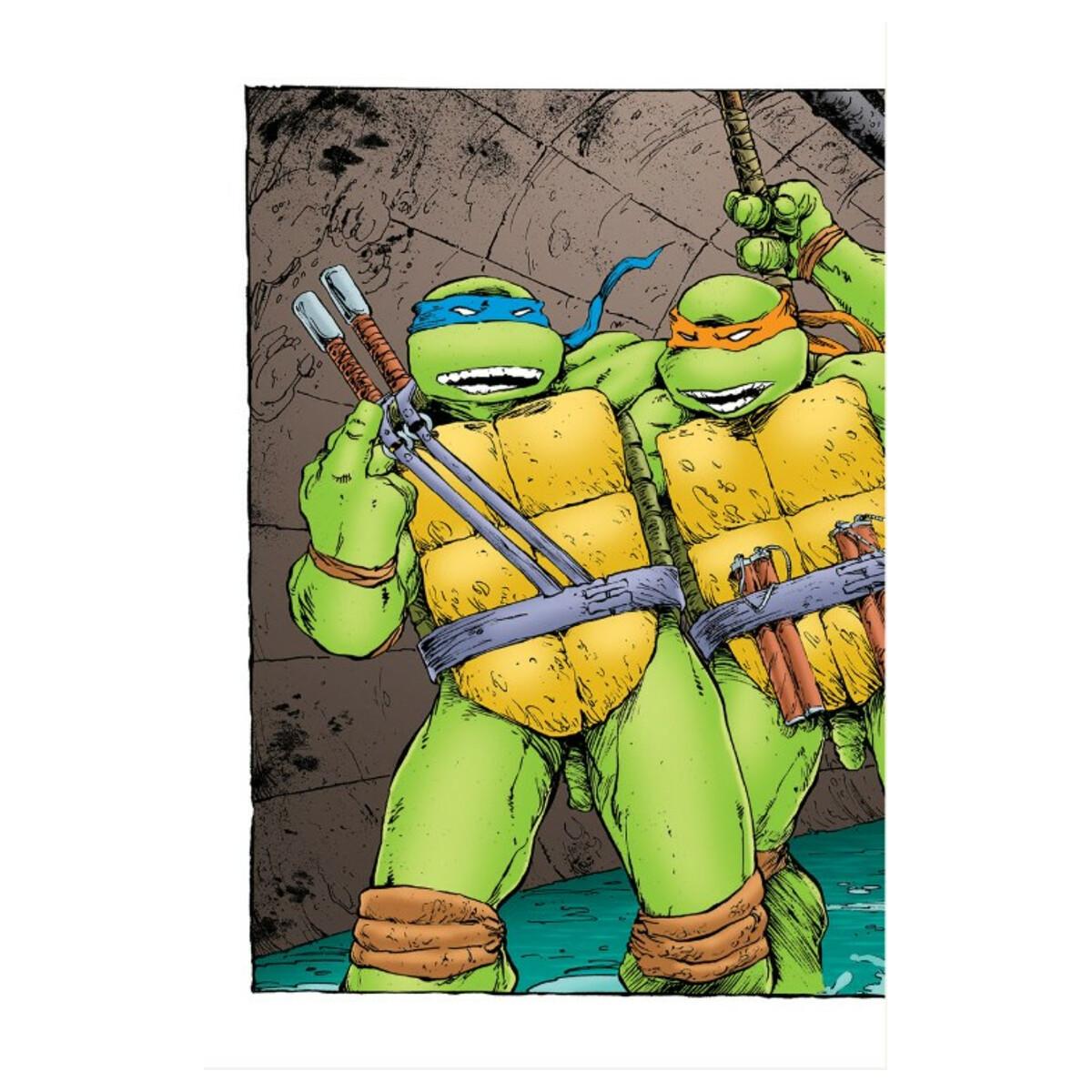 Tmnt: la pelicula original.Especial 35aniversari 8
