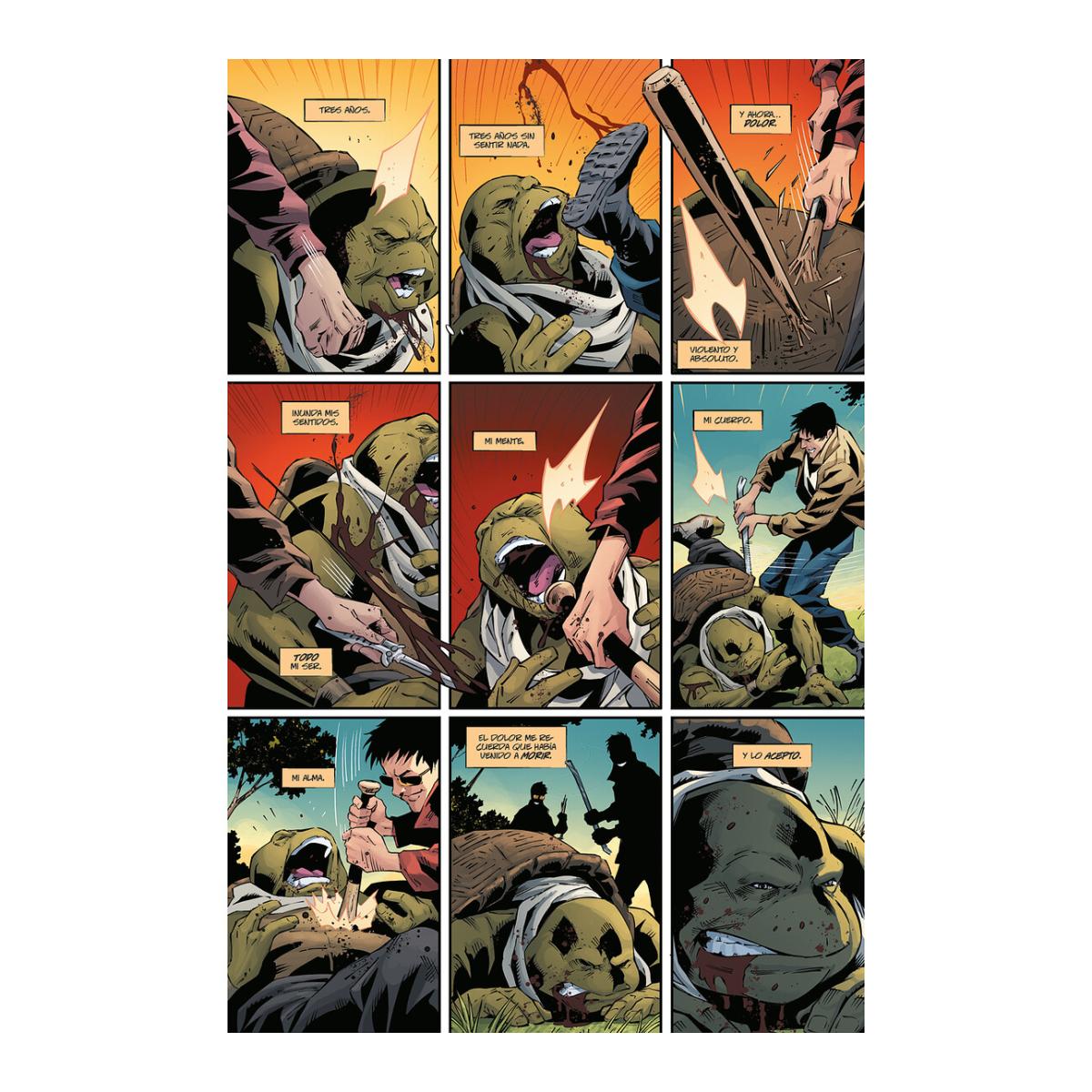 Teenage mutant ninja turtles : el ultimo ronin-los 8