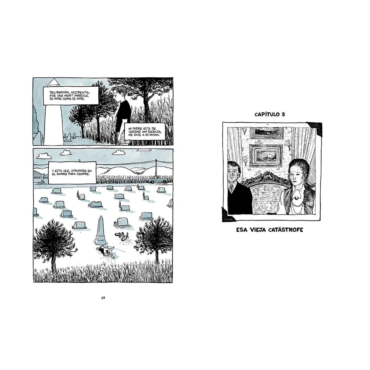 Fun home. Edición coleccionista: Una familia tragicómica (Capa dura) 2