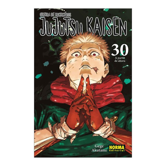 Imagem 0 de JUJUTSU KAISEN 30