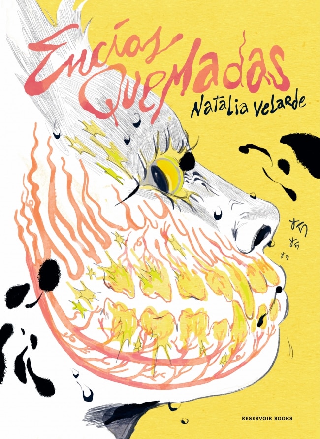 Encias quemadas (Capa Mole) 1