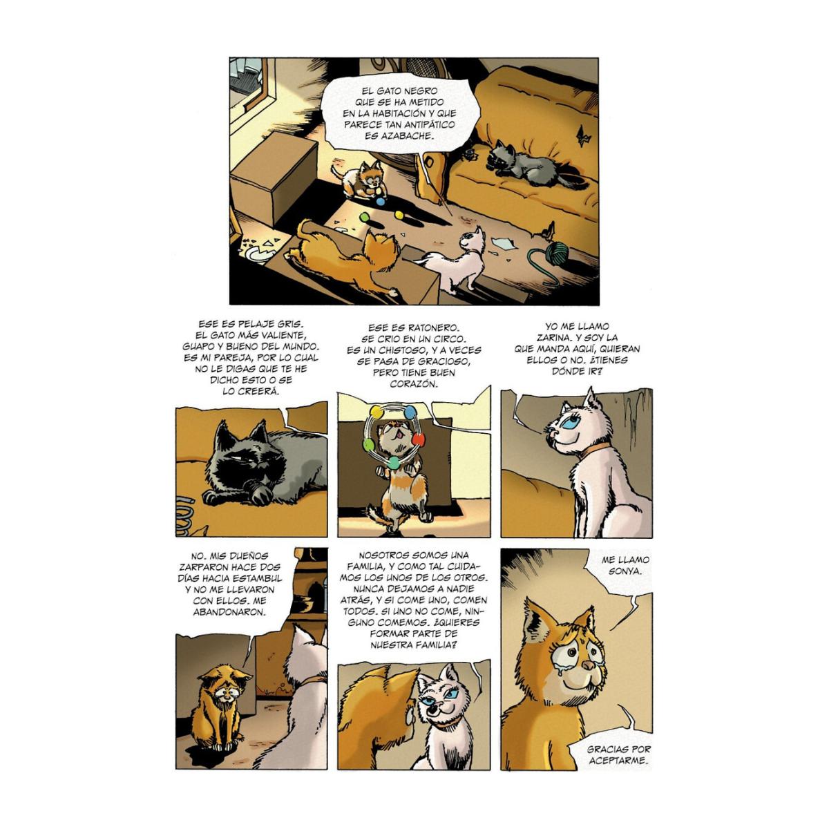 LOS GATOS DEL DEMETER  (Capa Mole Capa Mole com Lapelas) 3