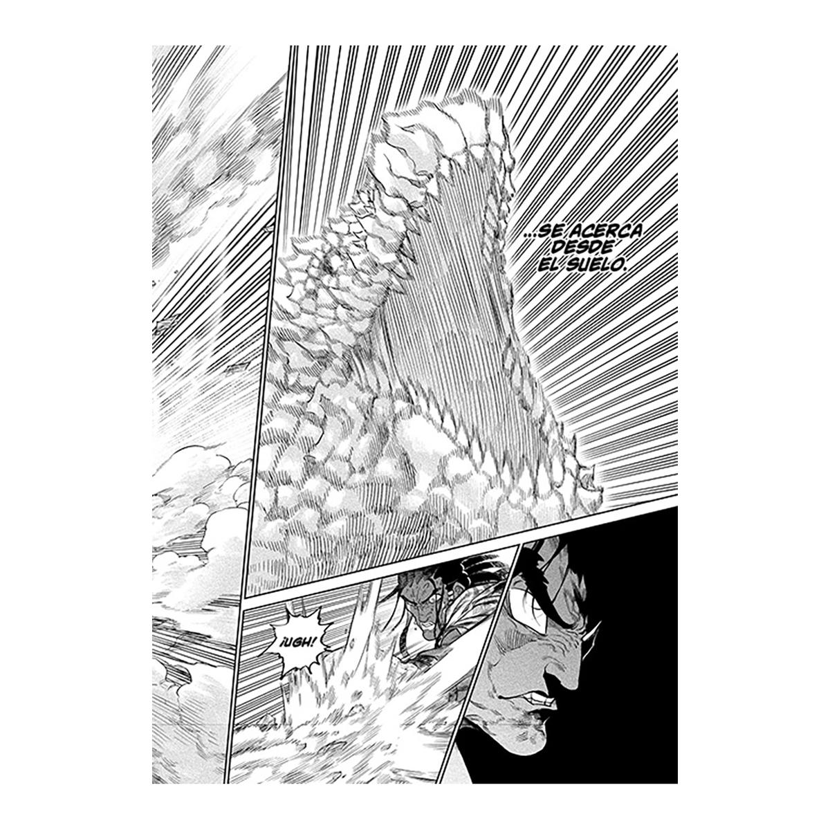 TENKAICHI: LA BATALLA DEFINITIVA 9 (SEIN  (Capa Mole) 4