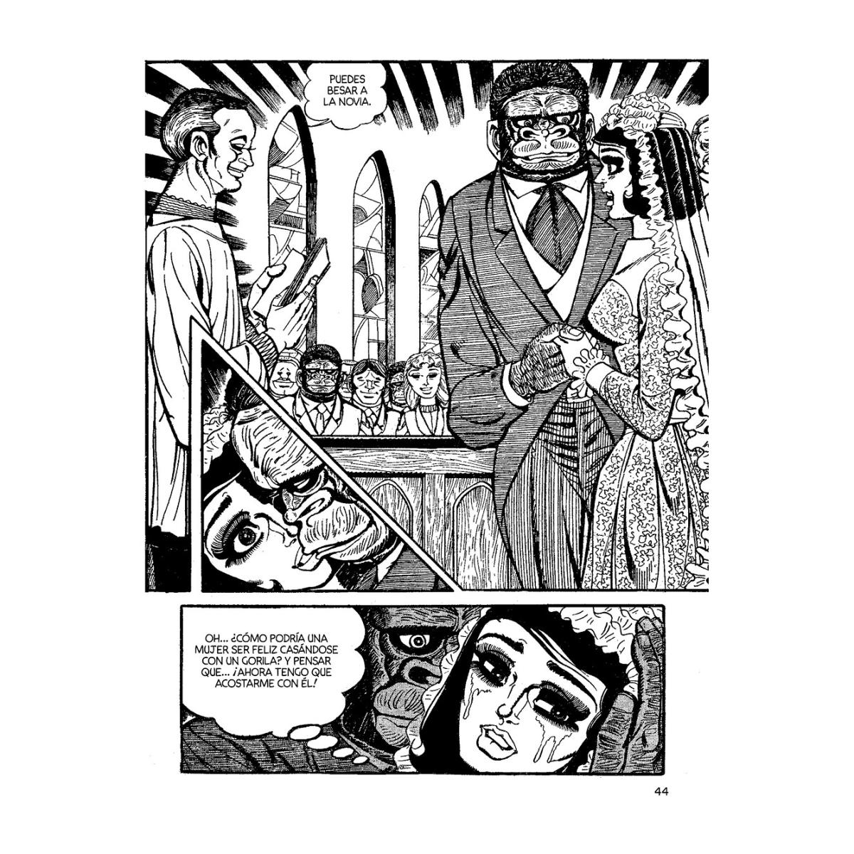 MI FAMILIA GORILA (Capa Mole) 3