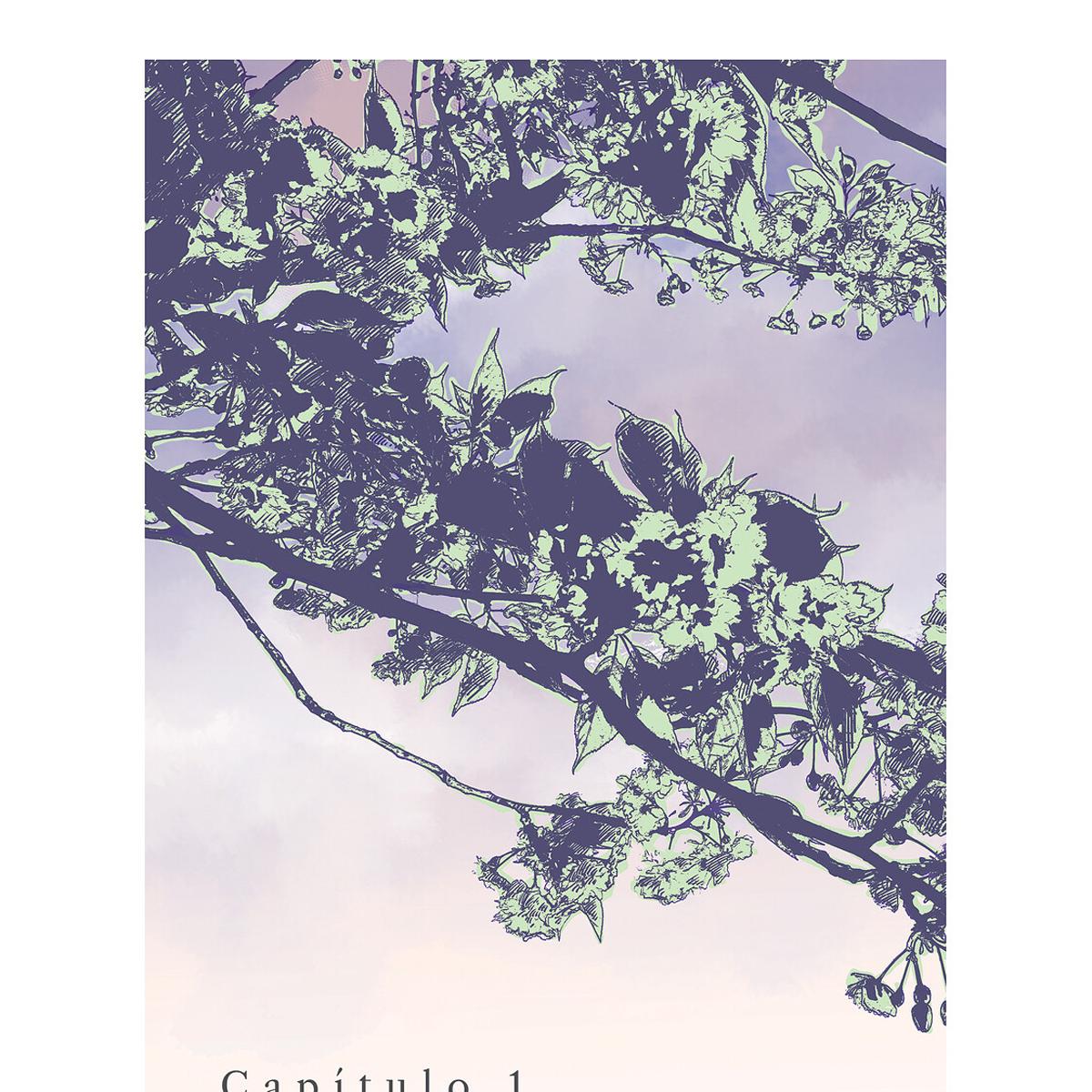 CICATRICES (Capa Mole) 4