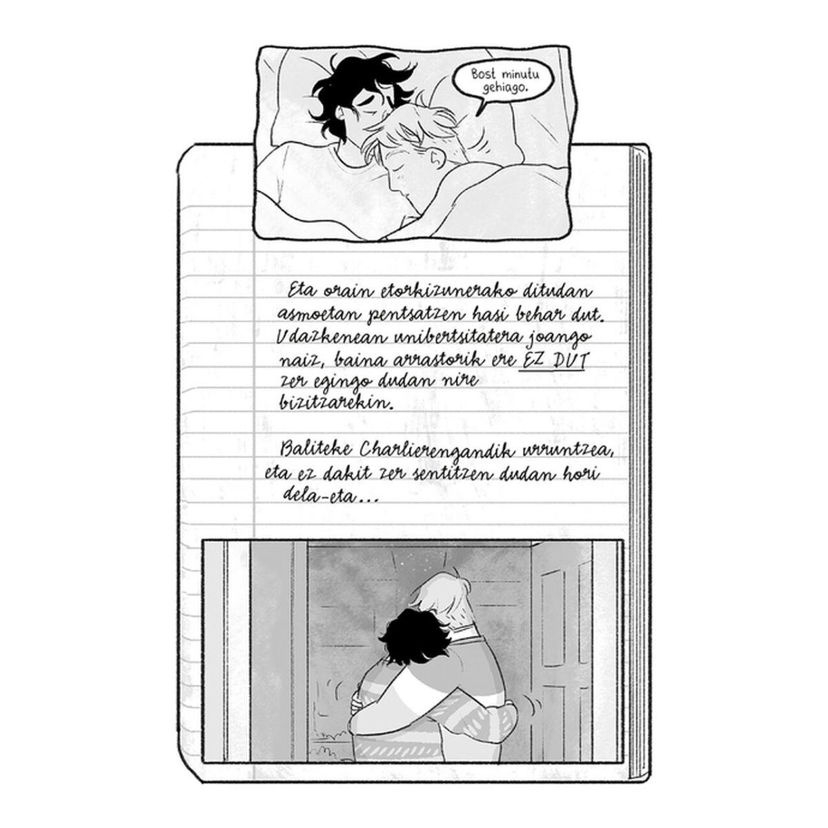 HEARTSTOPPER 05  (Capa Mole Capa Mole con Lapelas) 2