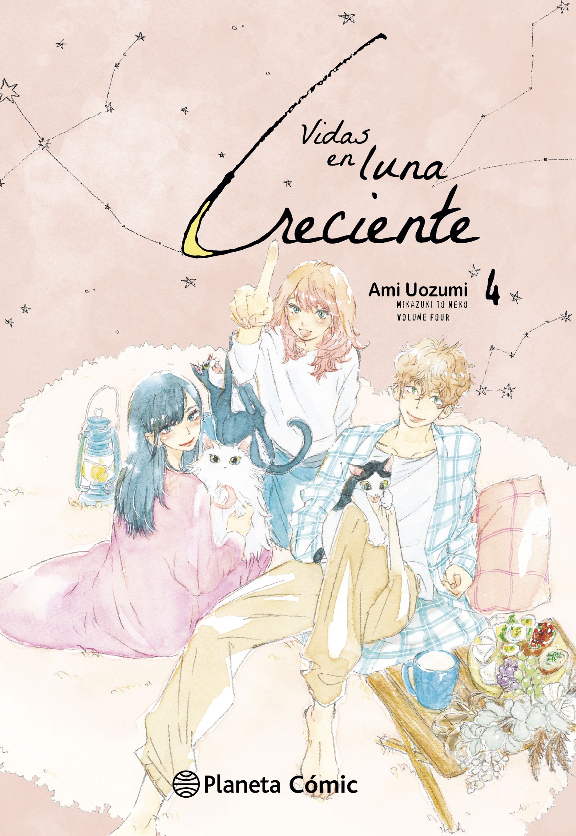 Imagem 0 de VIDAS EN LUNA CRECIENTE Nº 04/04  (Capa Mole con sobrecubierta)