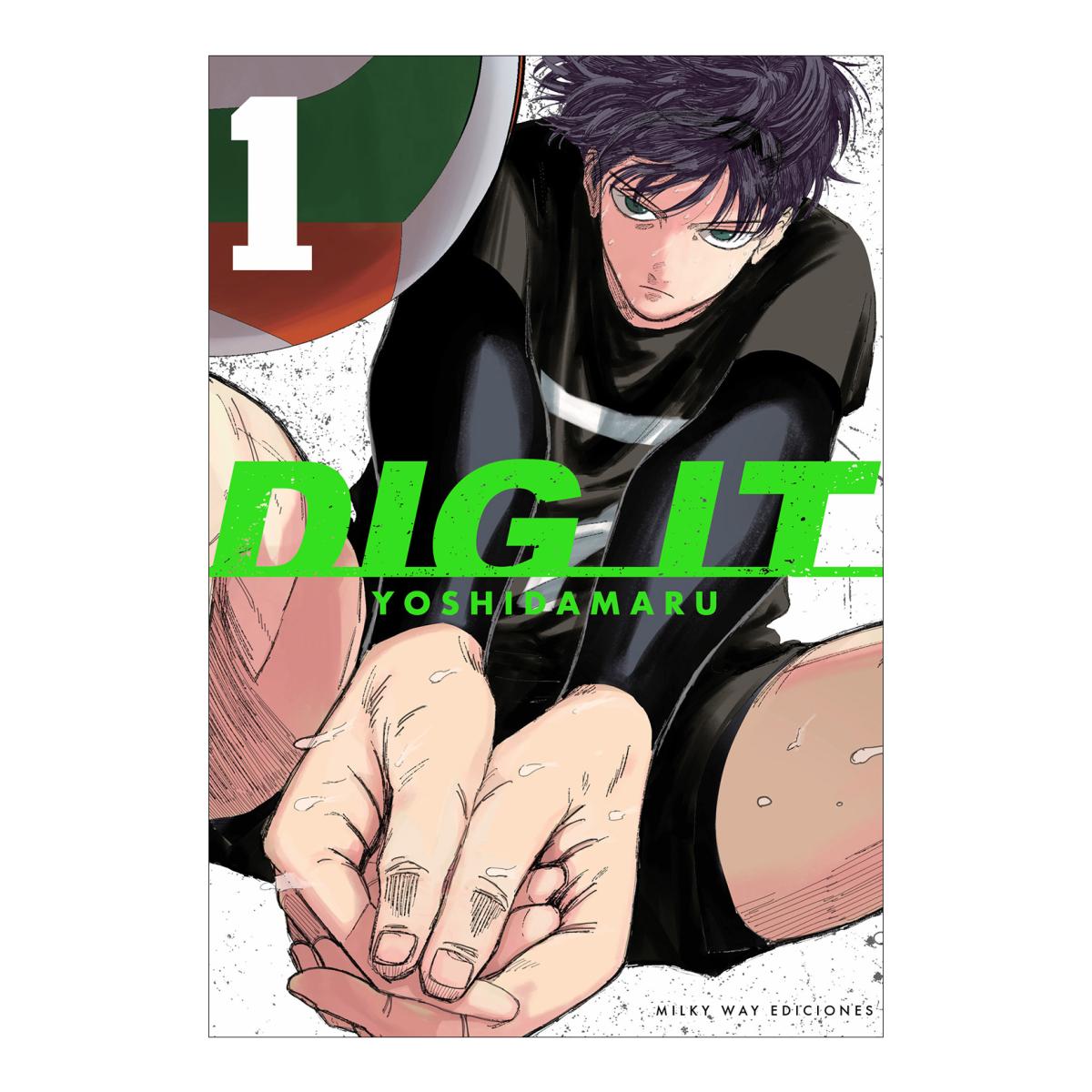 Imagem 0 de DIG IT VOL. 1 (Capa Mole)