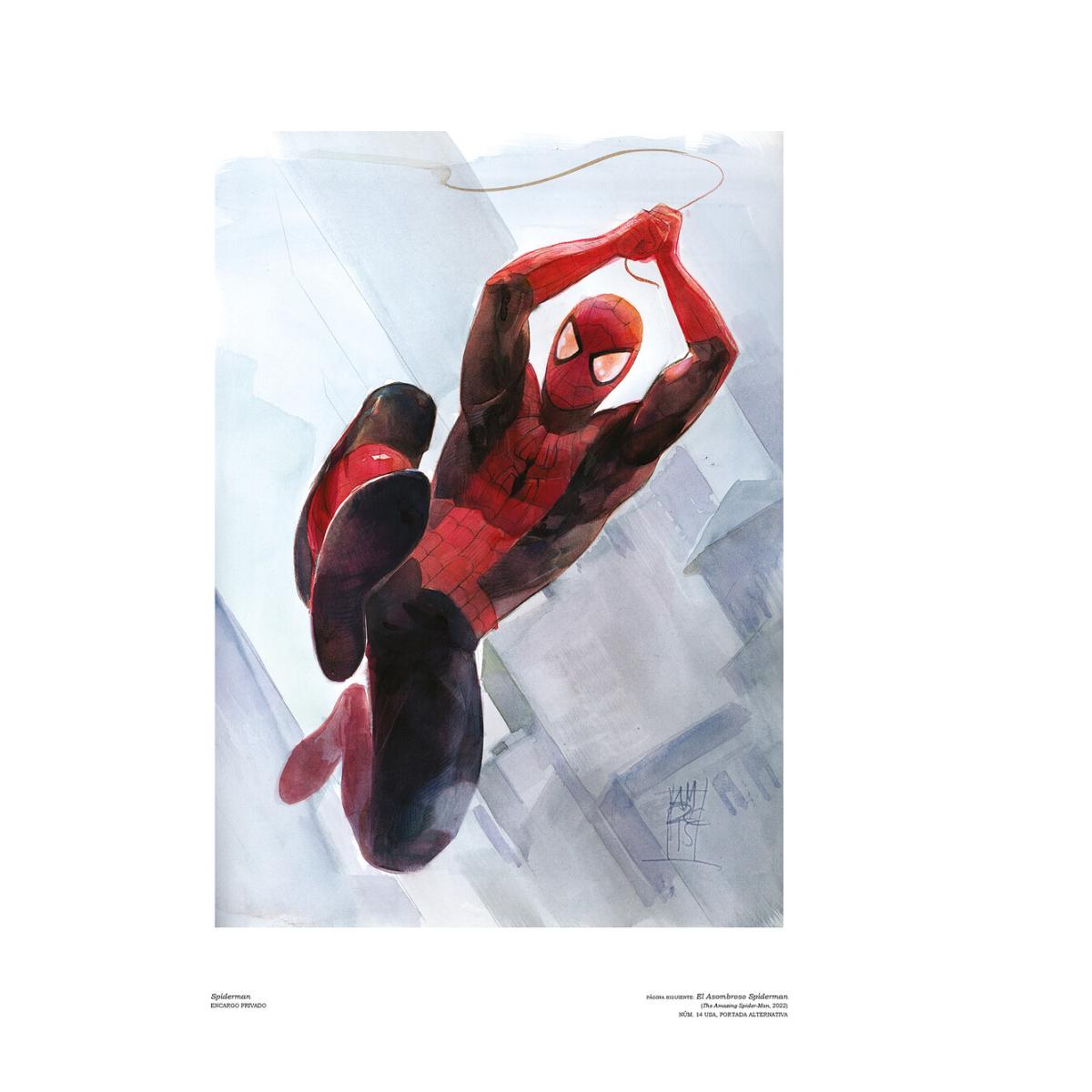 EL ARTE EN MARVEL DE ALEX MALEEV (Capa Dura) 5