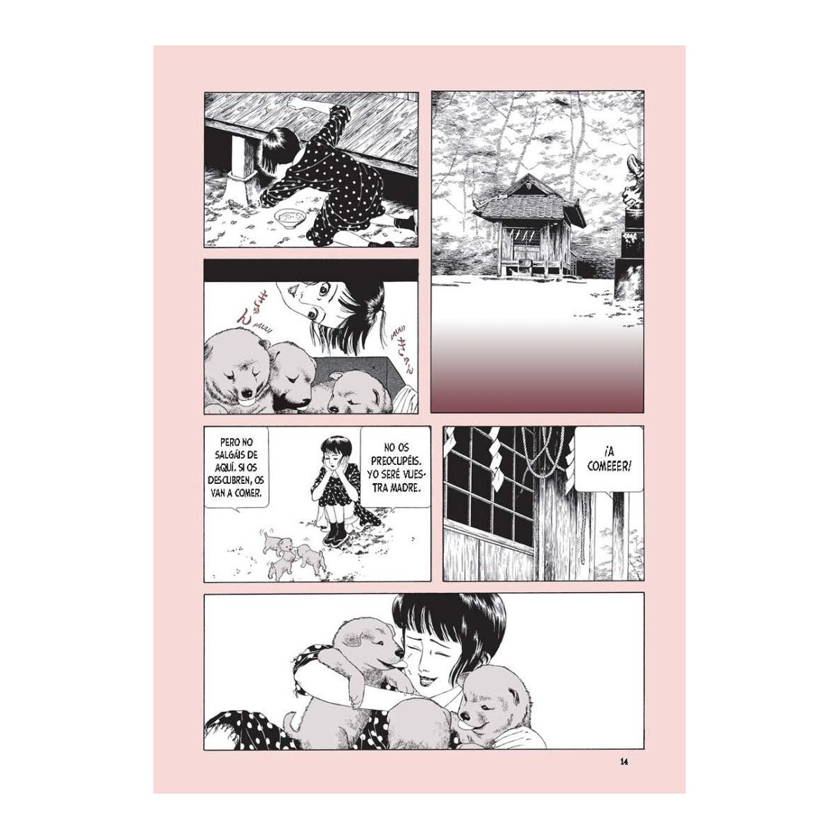 MIDORI: LA NIÑA DE LAS CAMELIAS (Capa Mole) 2