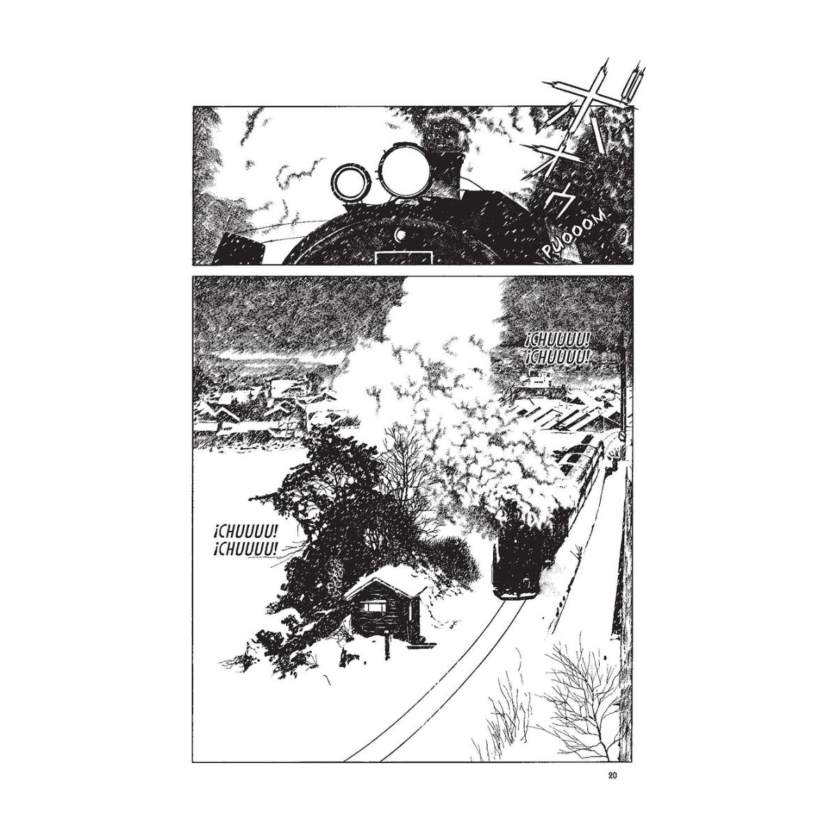 MIDORI: LA NIÑA DE LAS CAMELIAS (Capa Mole) 7