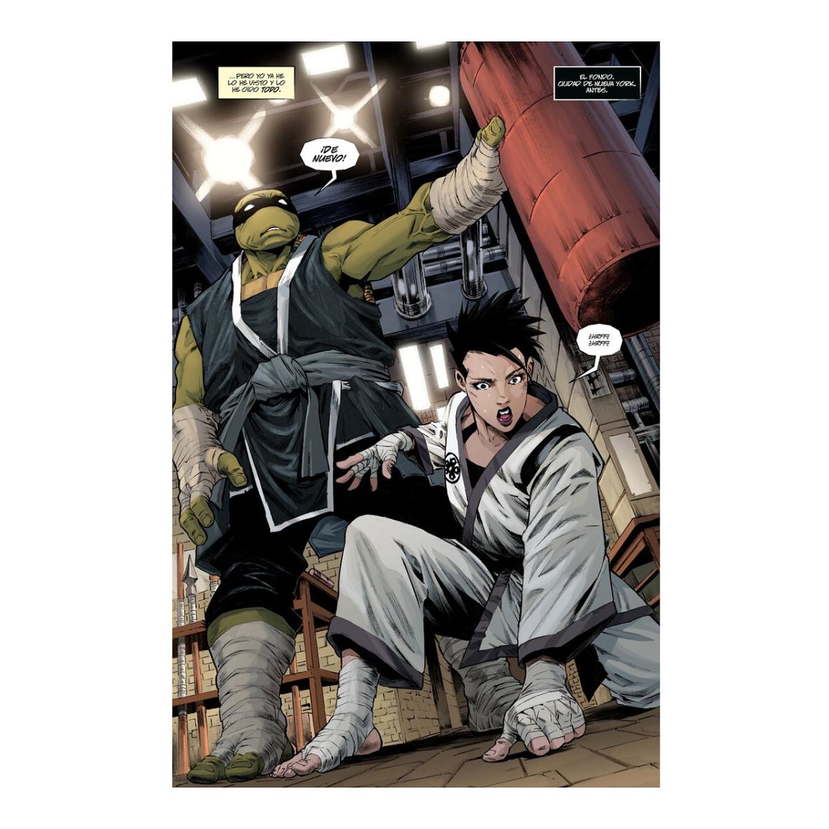 Teenage mutant ninja turtles : el ultimo ronin-dia (Capa Mole) 3