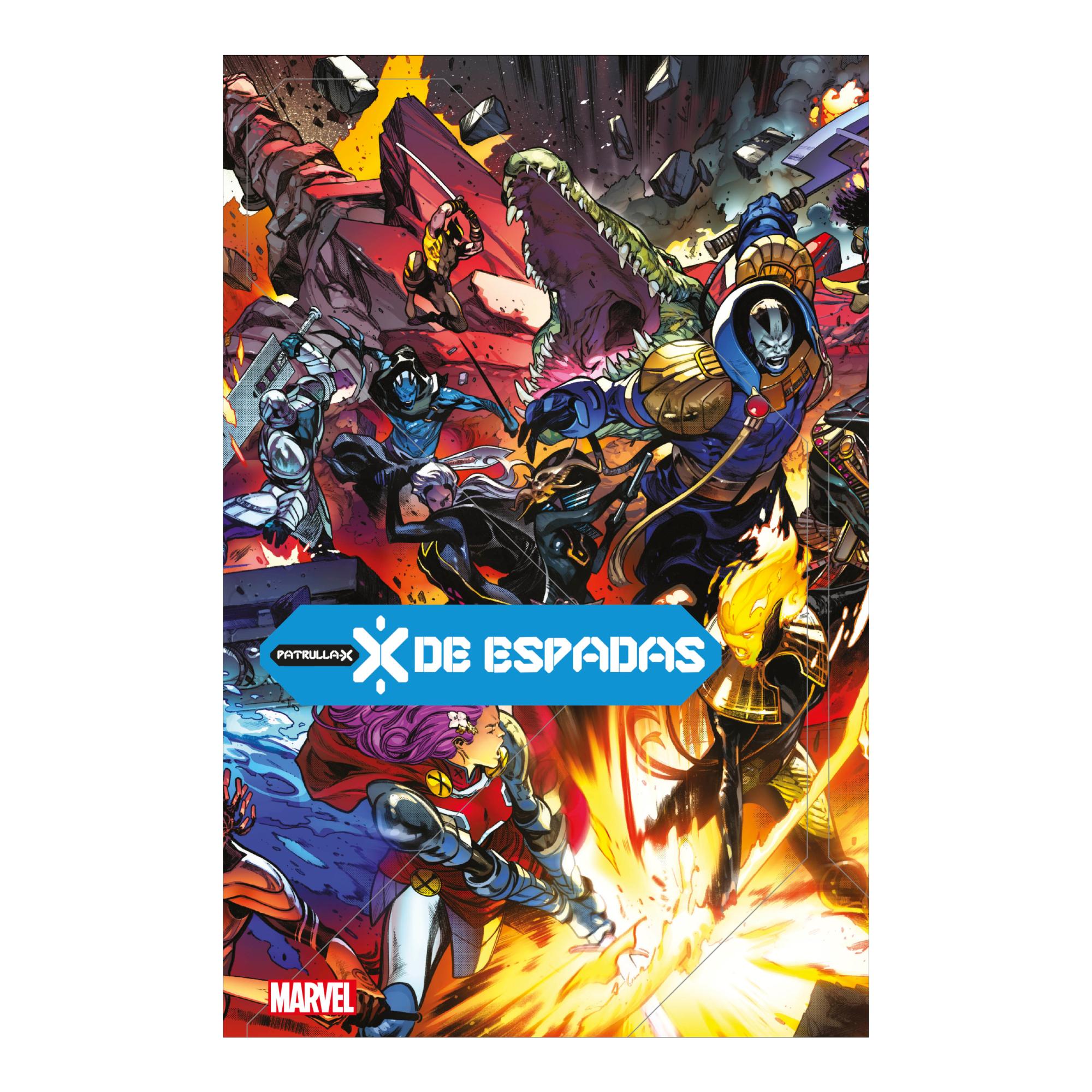 Imagen 1 de X de espadas