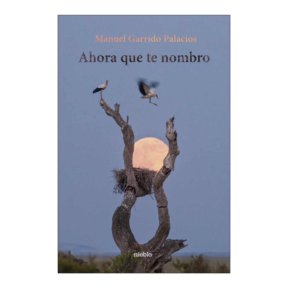Ahora que te nombro 1