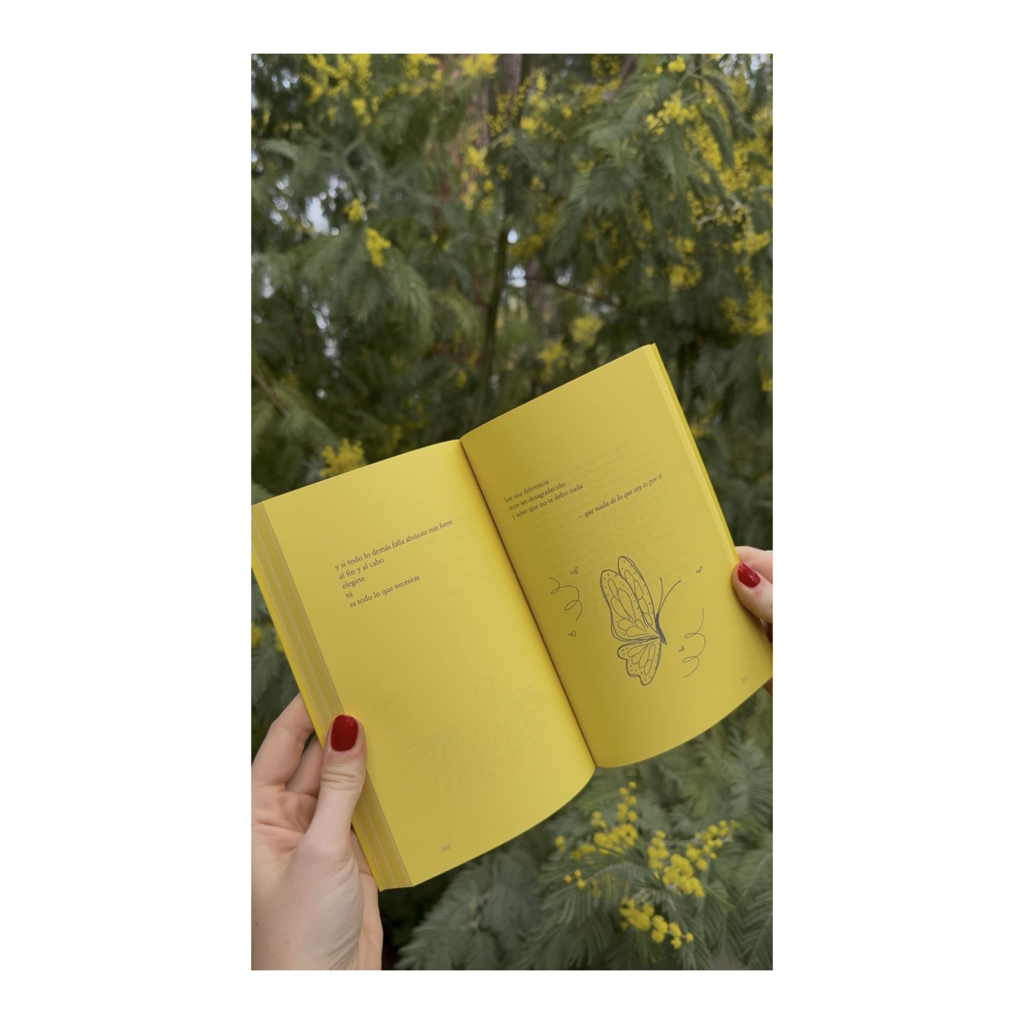 sojourn (Capa mole com abas) 2