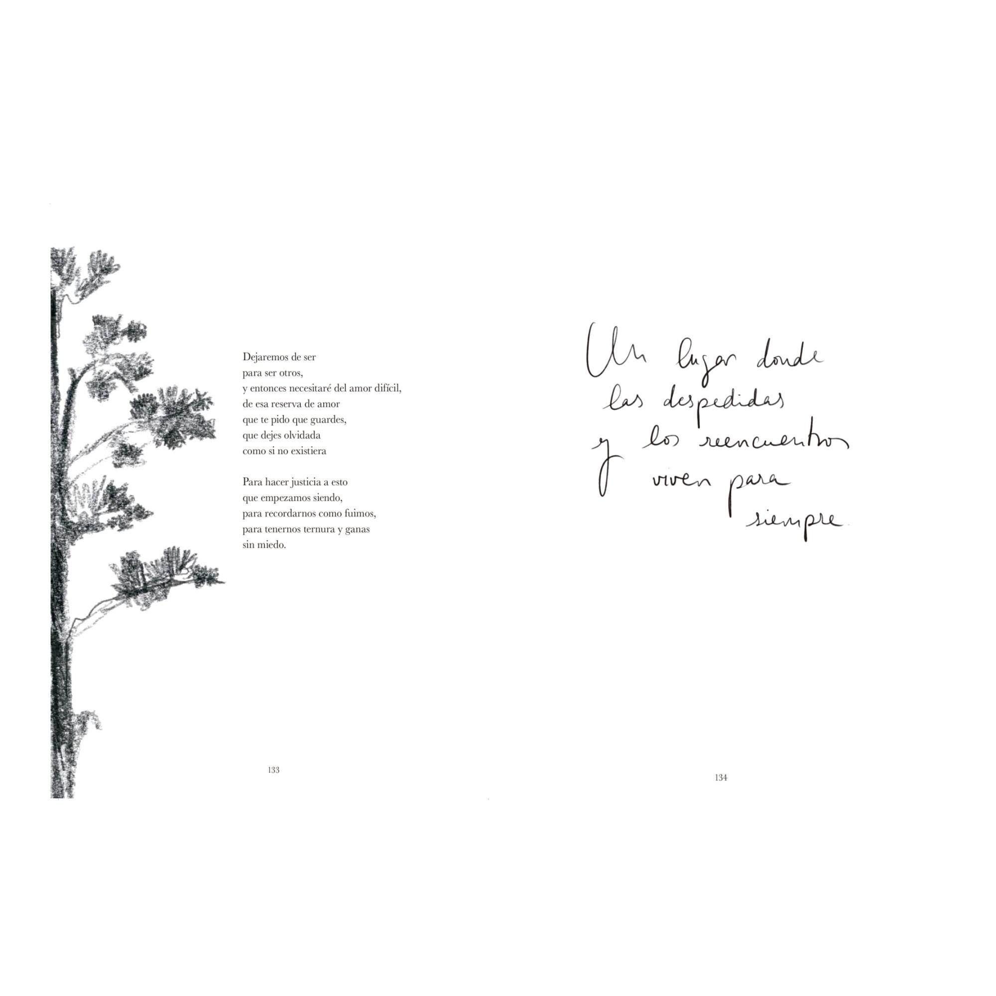 Si el mar no regresa 3