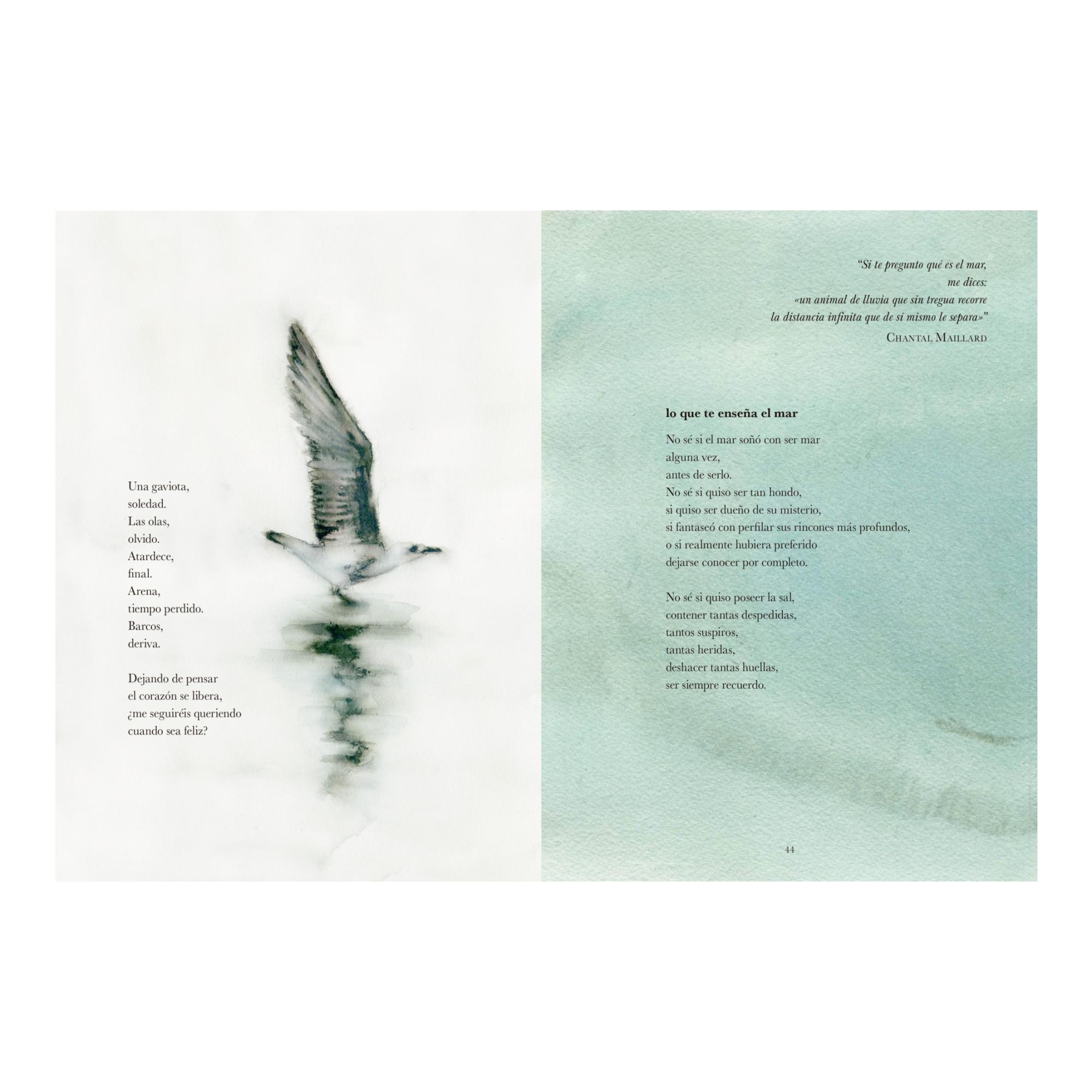 Si el mar no regresa 5