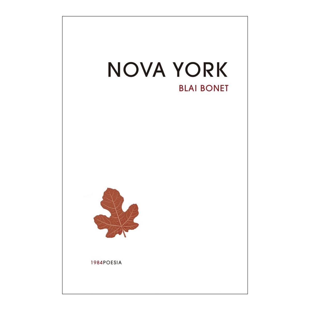 Nova York (Capa mole com abas) 1