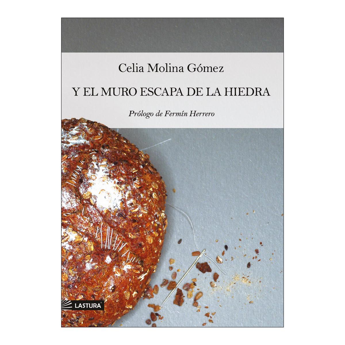 Imagen 0 de Y el muro escapa de la hiedra