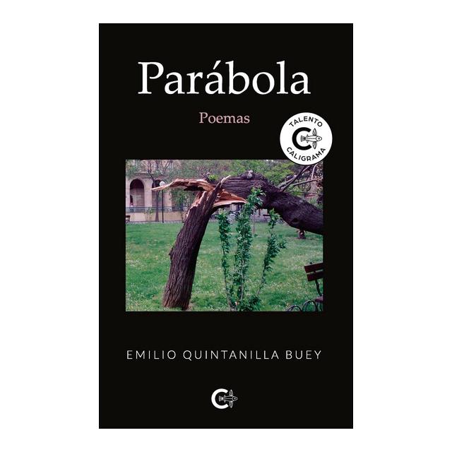 Parábola 1