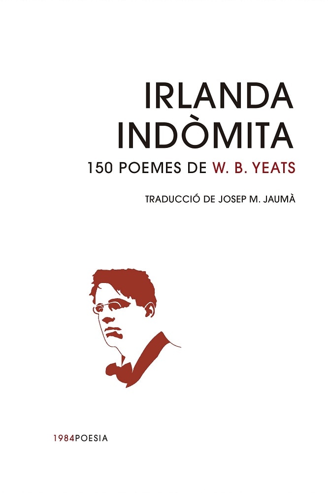 Imagen 0 de IRLANDA INDÒMITA  (Tapa blanda con solapas)