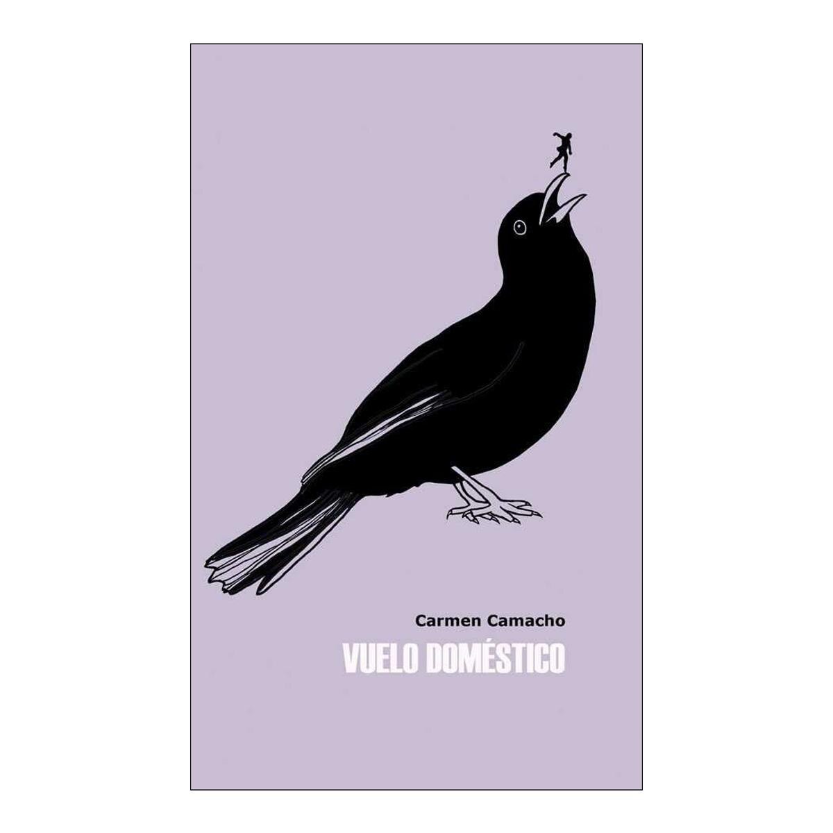 Vuelo domestico