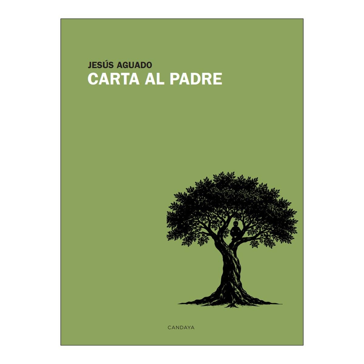 Imagem 0 de Carta al padre