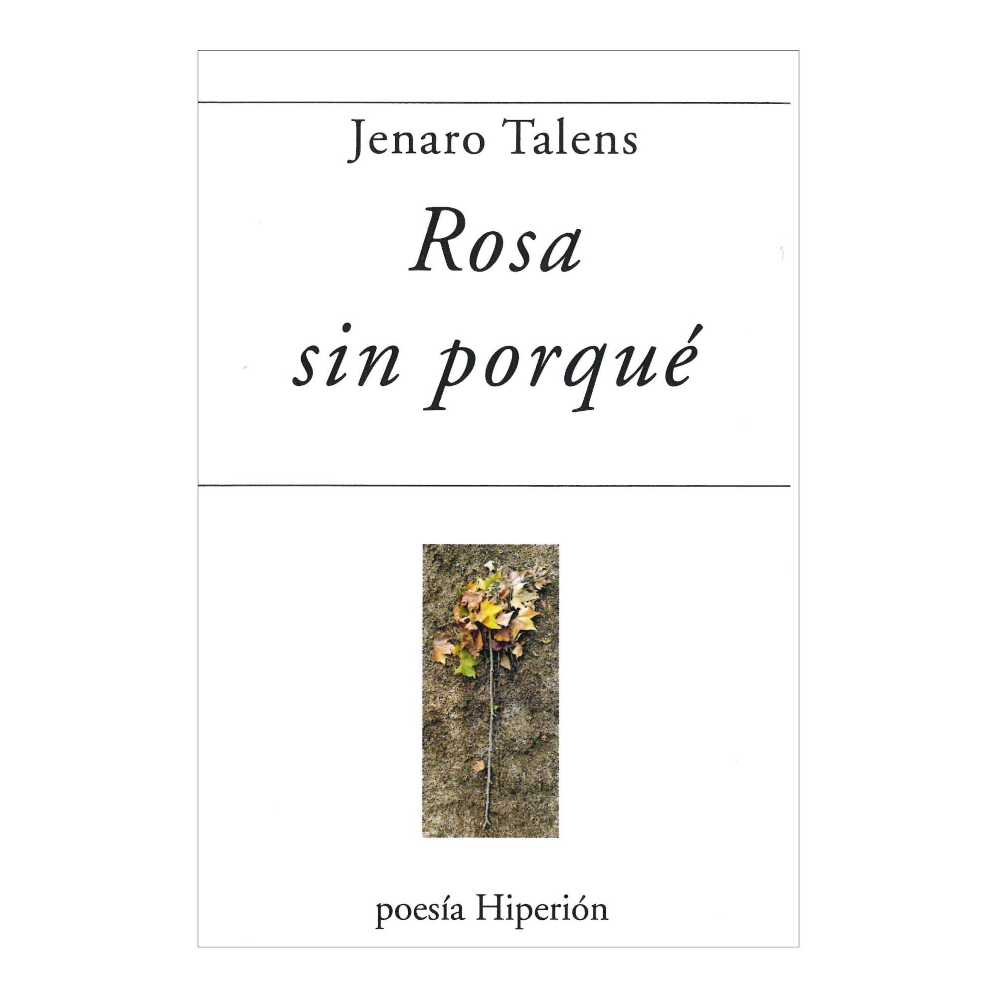 Imagem 0 de Rosa sin porque