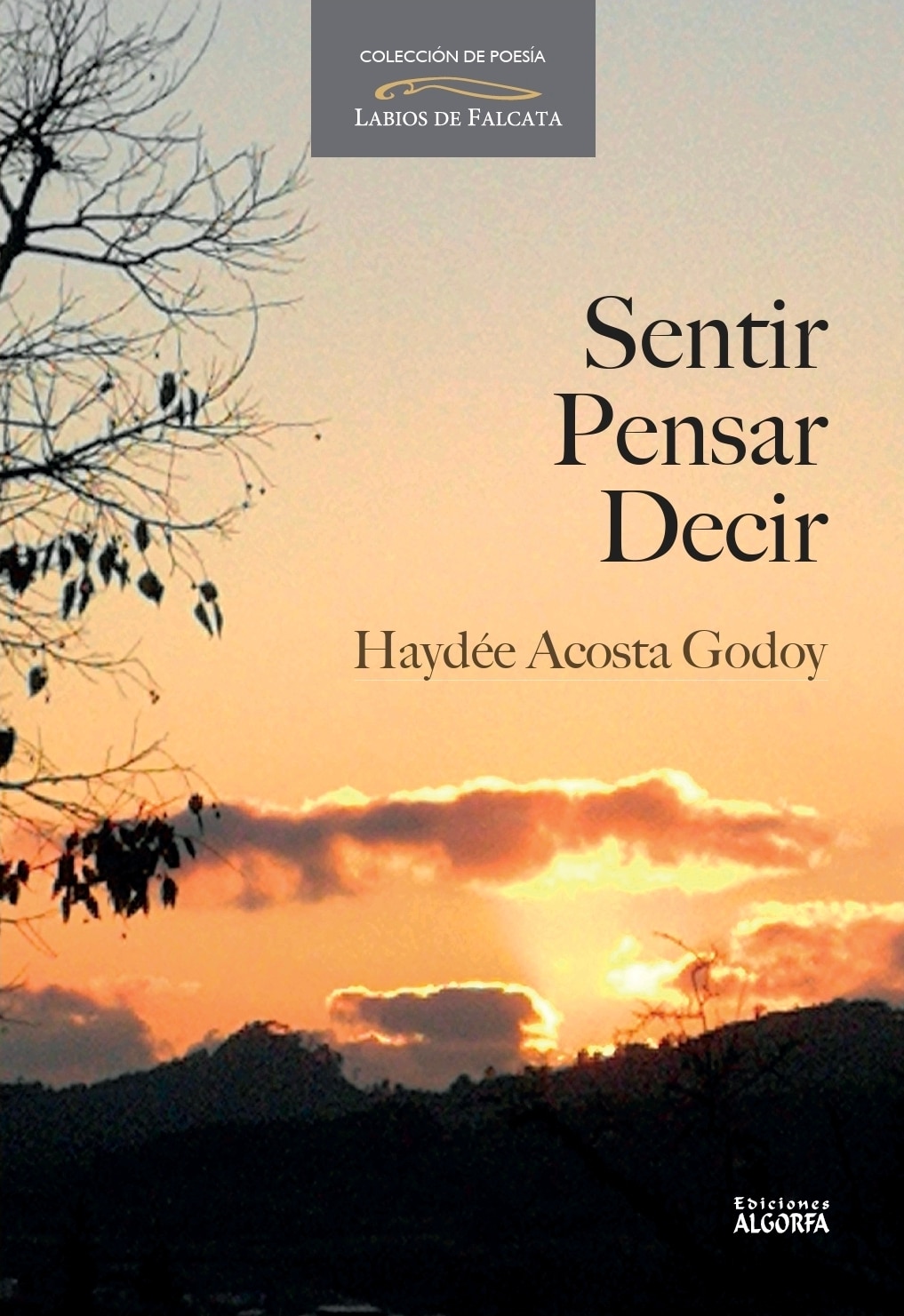 Imagem 0 de SENTIR, PENSAR, DECIR (Capa Mole con Lapelas)