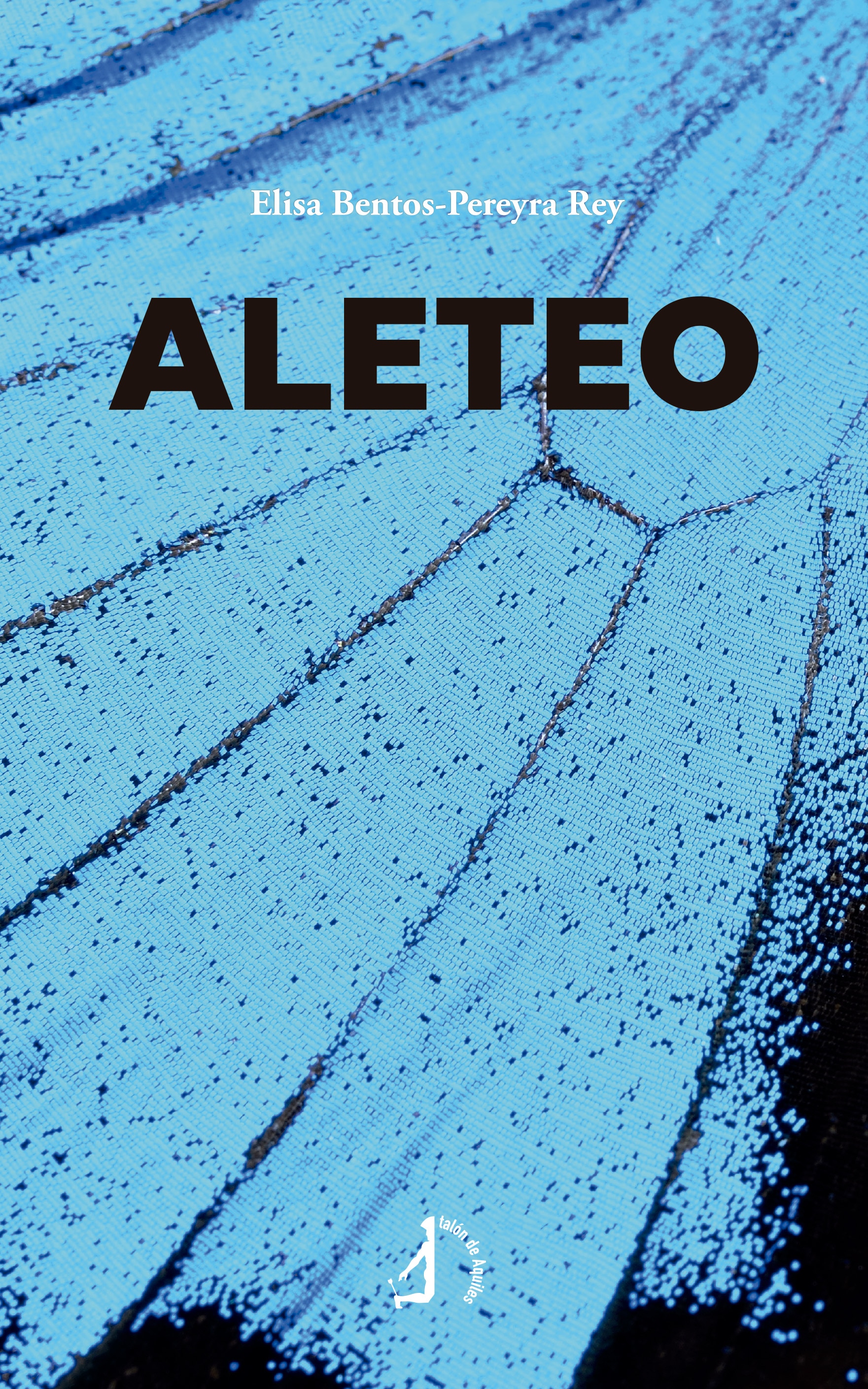 Imagen 0 de ALETEO  (Tapa blanda con solapas)