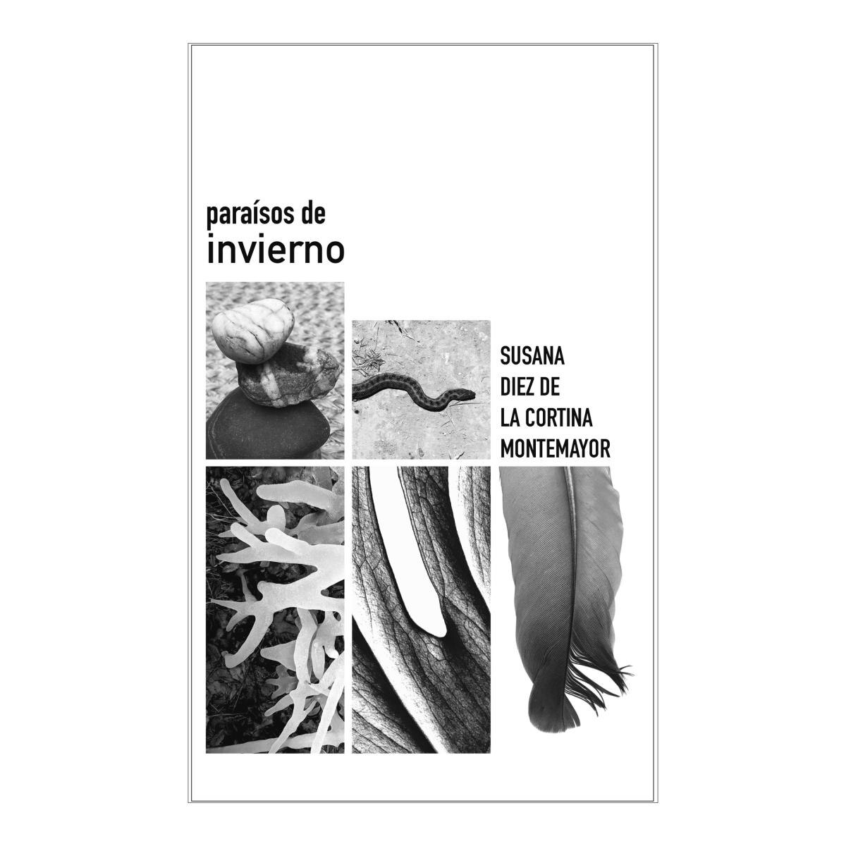 Imagen 0 de Paraisos de invierno