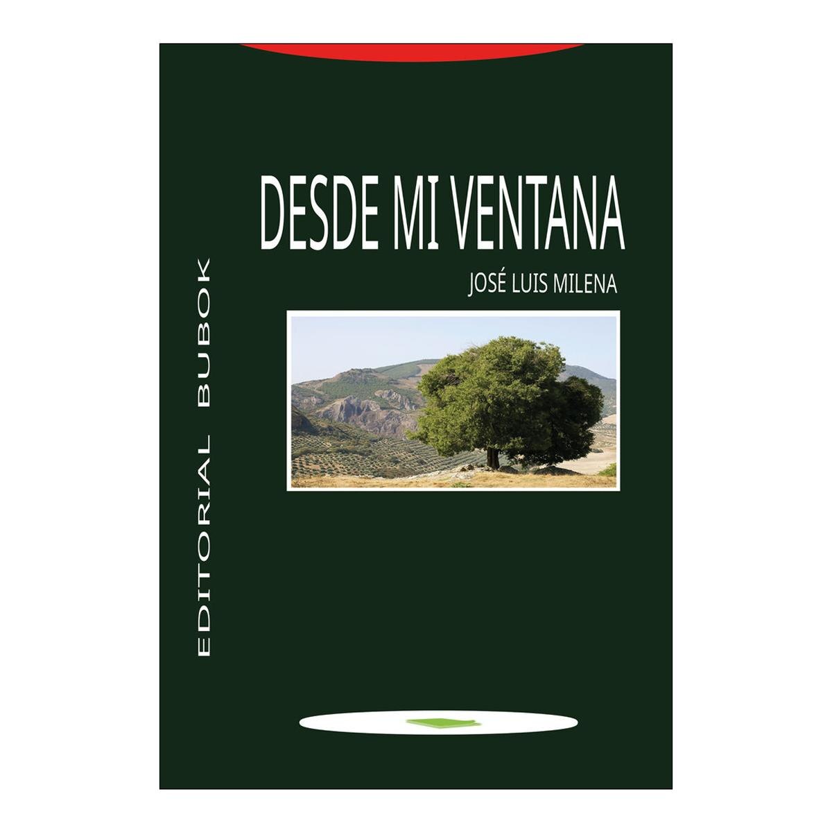DESDE MI VENTANA