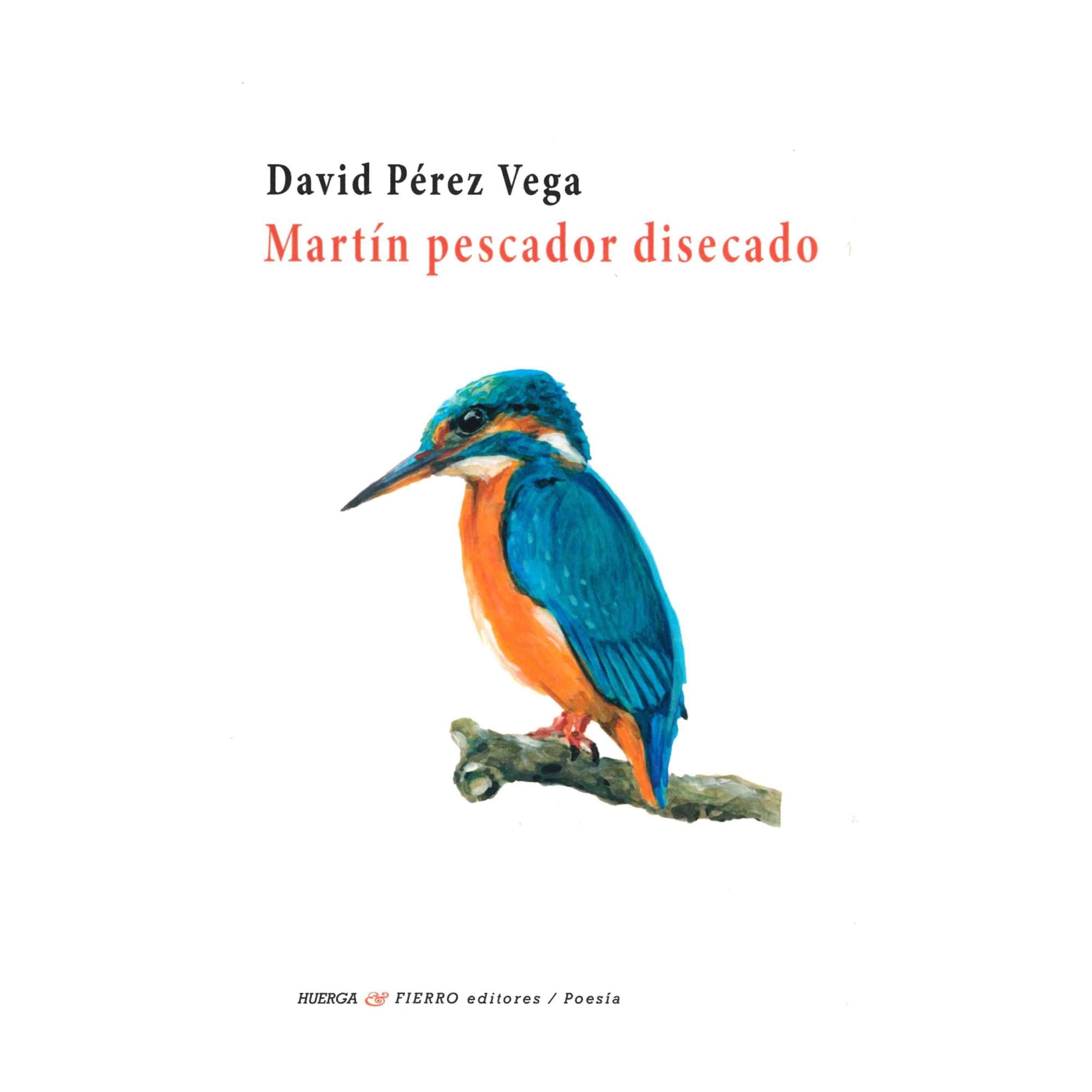 Martin pescador disecado