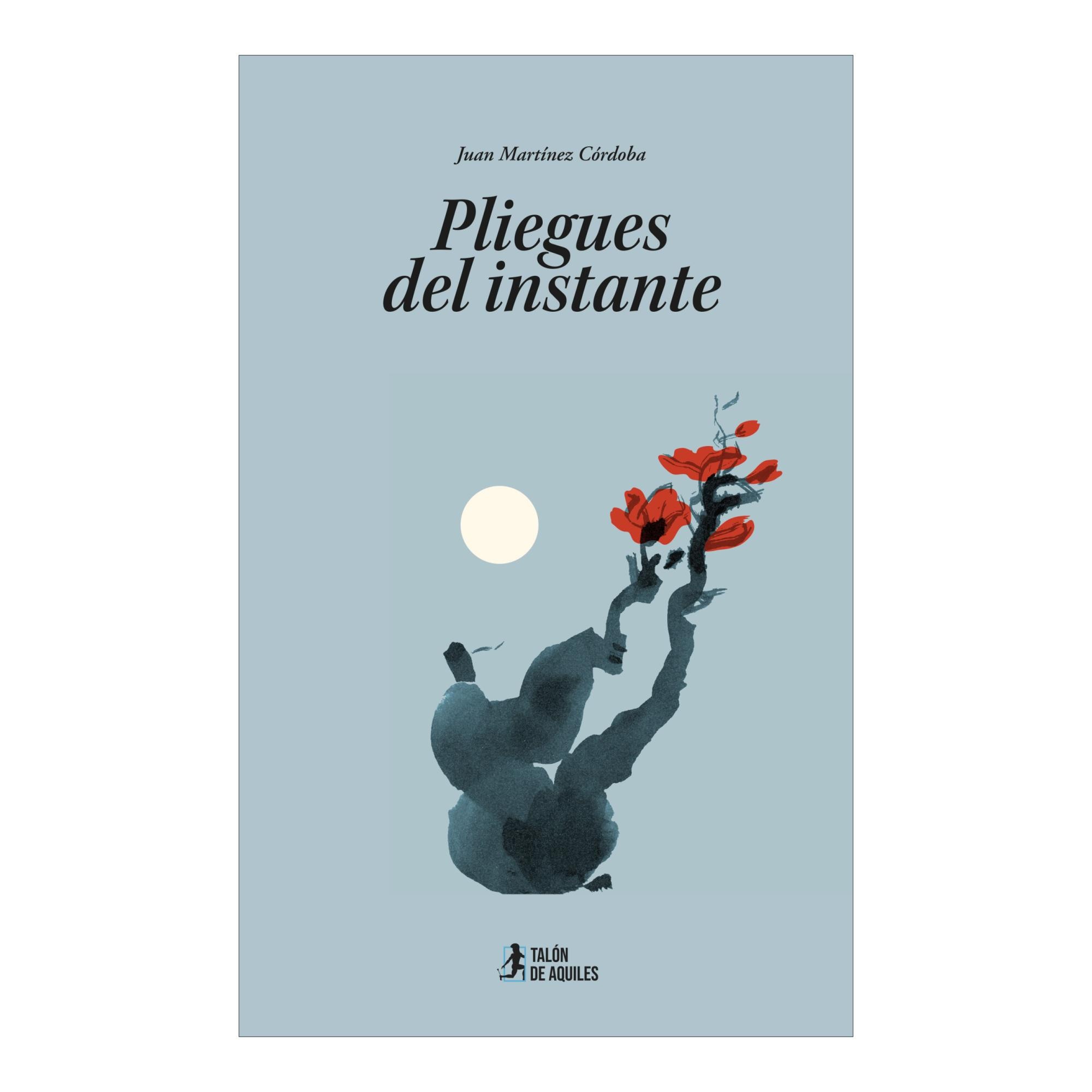 PLIEGUES DEL INSTANTE
