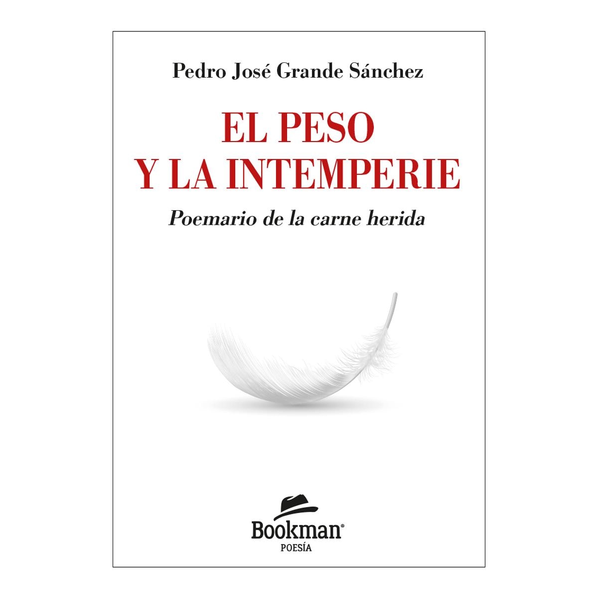 Imagem 0 de El peso y la intemperie