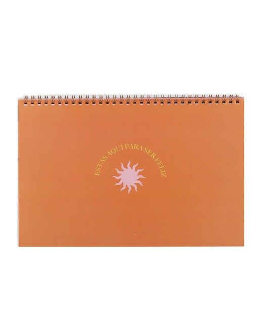 Organizador Semanal Ahora Laranja/Verde Multicolor-2