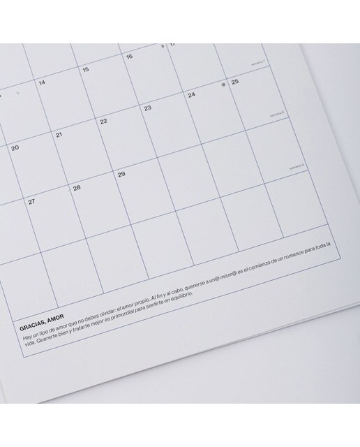 Calendário 2024 de Parede Y que Pase lo que Tenga que Pasar Espanhol - 300x210 mm - Multicolor Multicolor-10